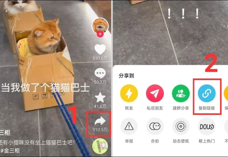Sao chép đường link vào bộ nhớ tạm