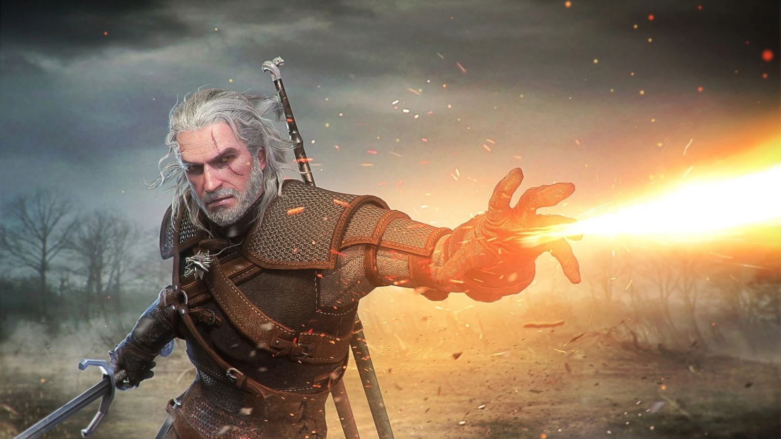 The Witcher 8