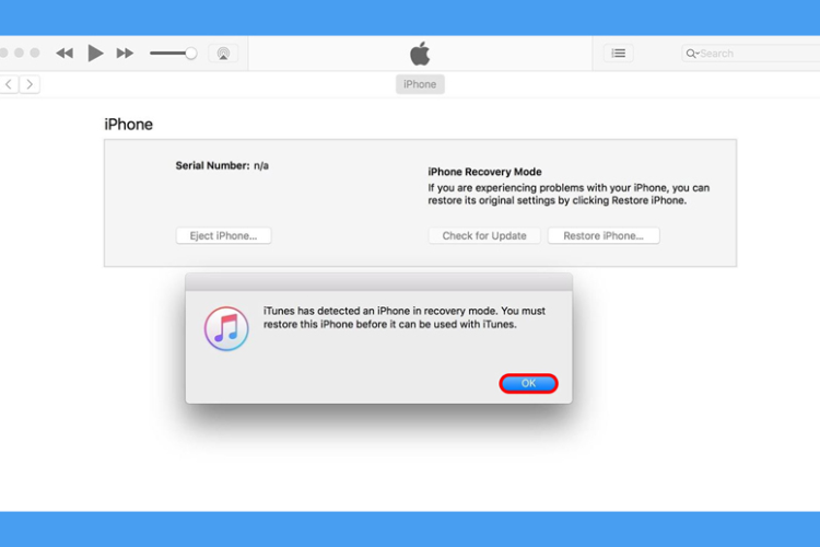 Nhấn nút Restore iPhone