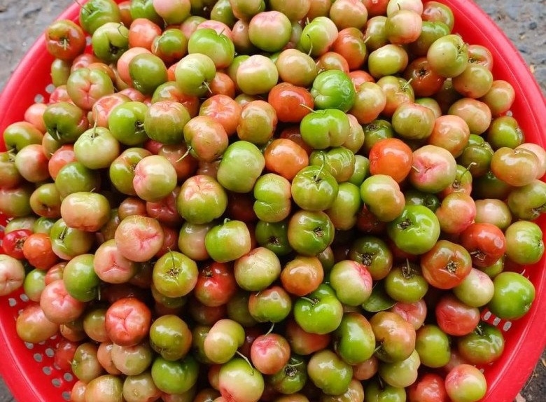 Cách làm sơri ngâm đường phèn đơn giản, nhanh chóng, ai cũng có thể thực hiện 1