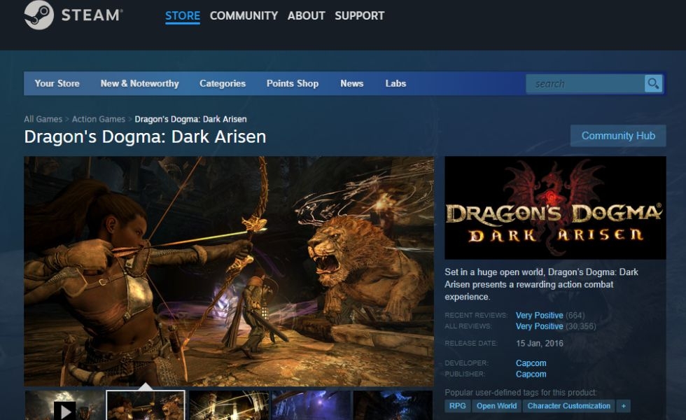 Dragon's Dogma on steam