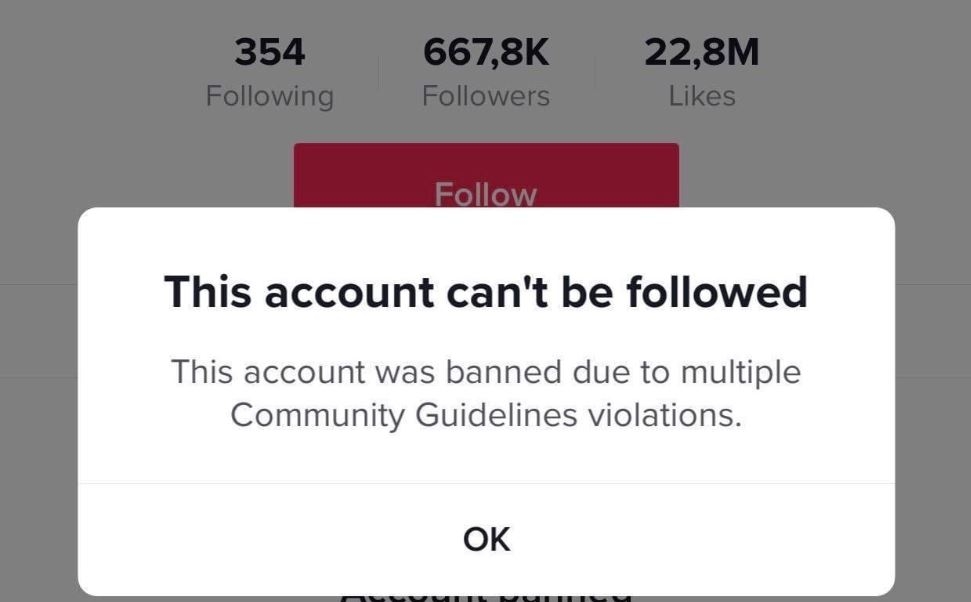 tài khoản Tiktok bị đình chỉ 2