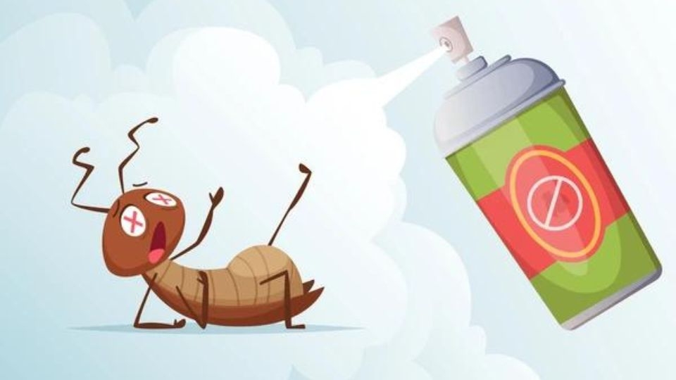 Sử dụng thuốc diệt gián