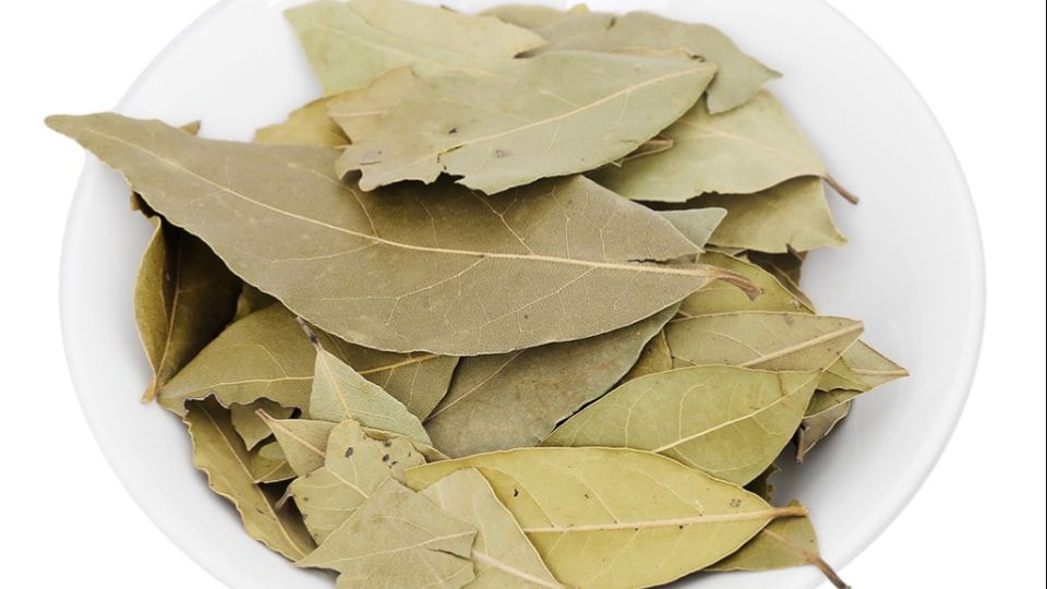 Sử dụng lá nguyệt quế