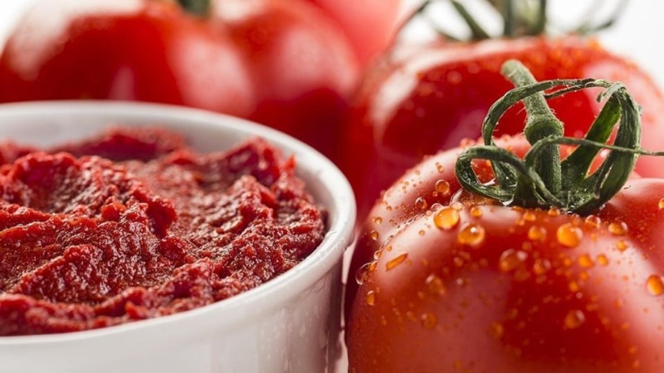 Puree cà chua