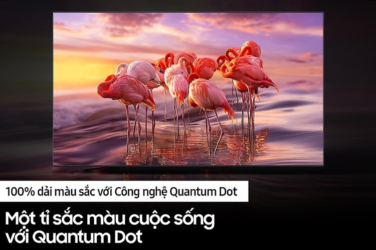 Công nghệ chấm lượng tử (Quantum Dot) (hình 12)