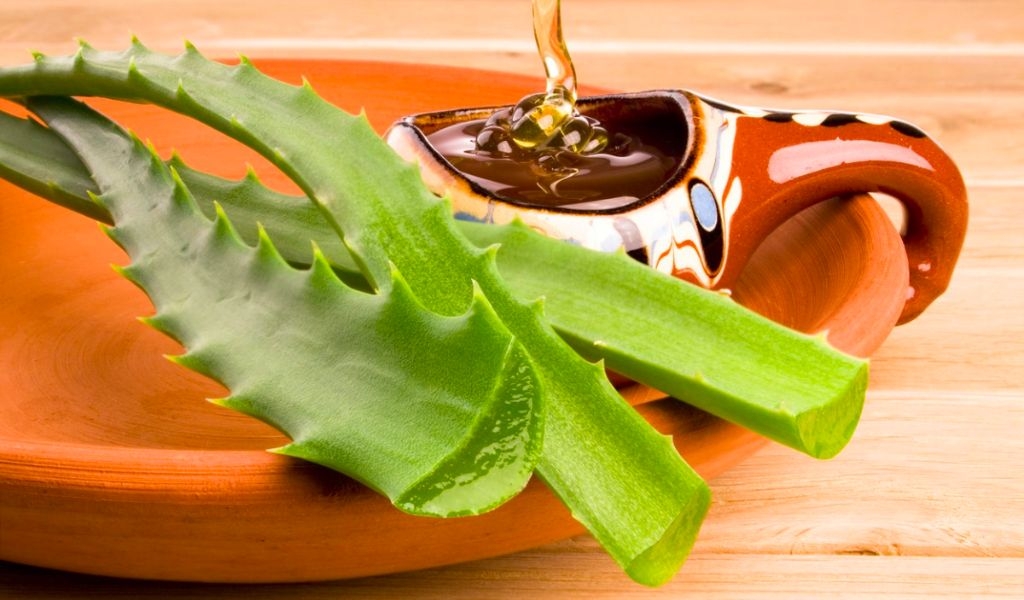 Lợi ích của nha đam mật ong và cách làm đơn giản, hỗ trợ giảm cân, tăng cường sức khỏe 3