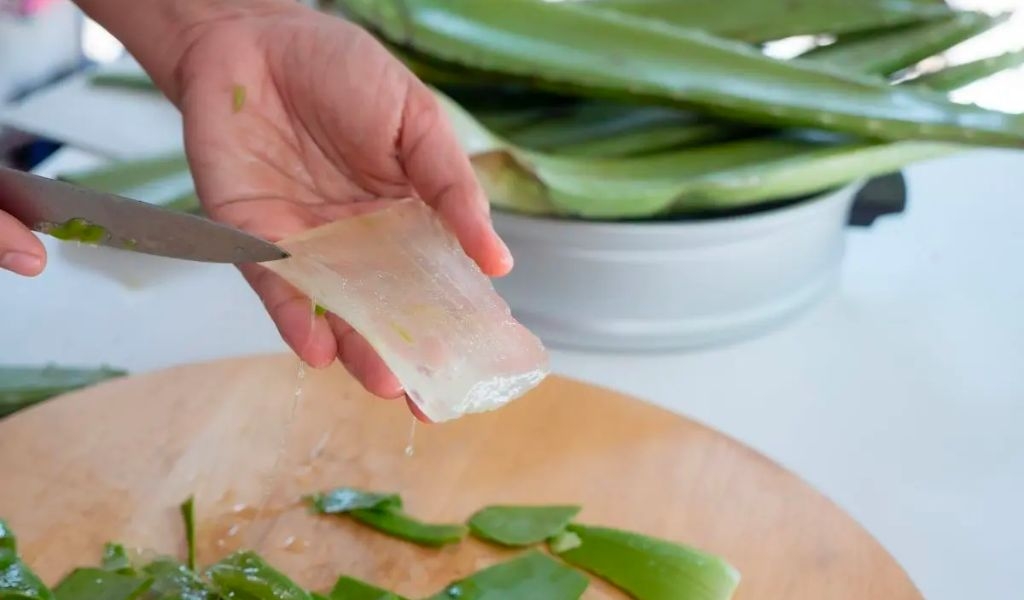 Lợi ích của nha đam mật ong và cách làm đơn giản, hỗ trợ giảm cân, tăng cường sức khỏe 4