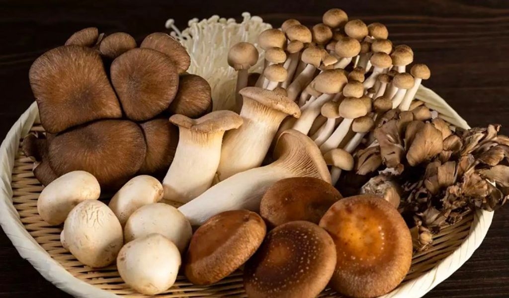 Công thức ức gà xào nấm thơm ngon, đơn giản để làm phong phú bữa ăn gia đình 2
