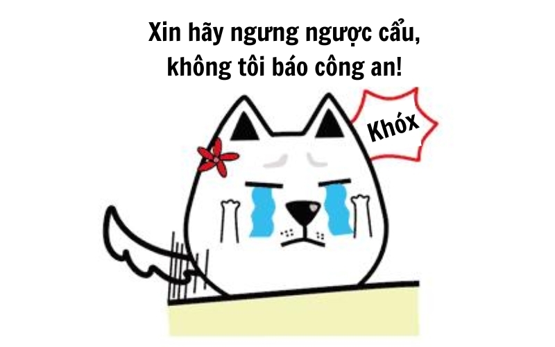 Cẩu lương là gì 4