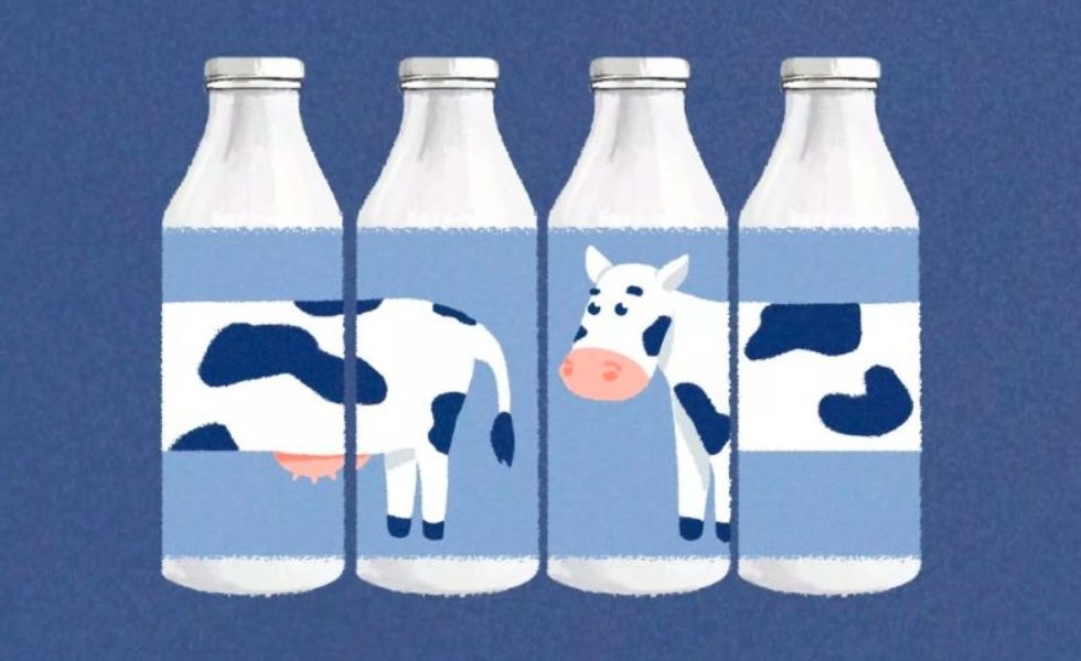 Find Sort Match game