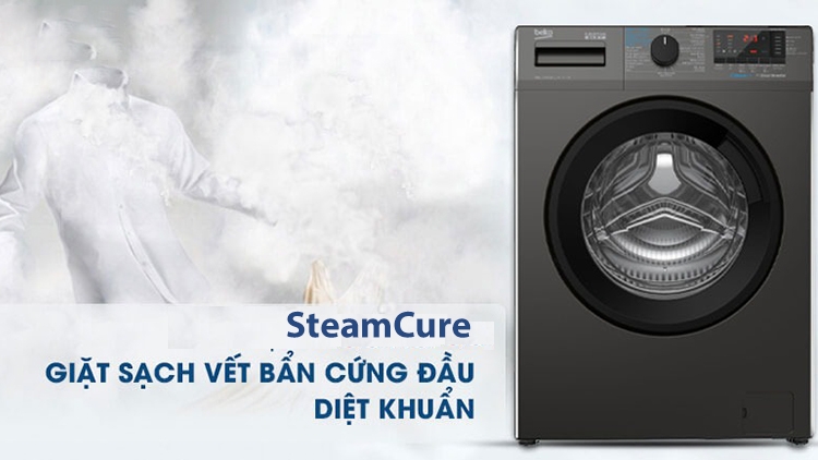 SteamCure (hình 2)