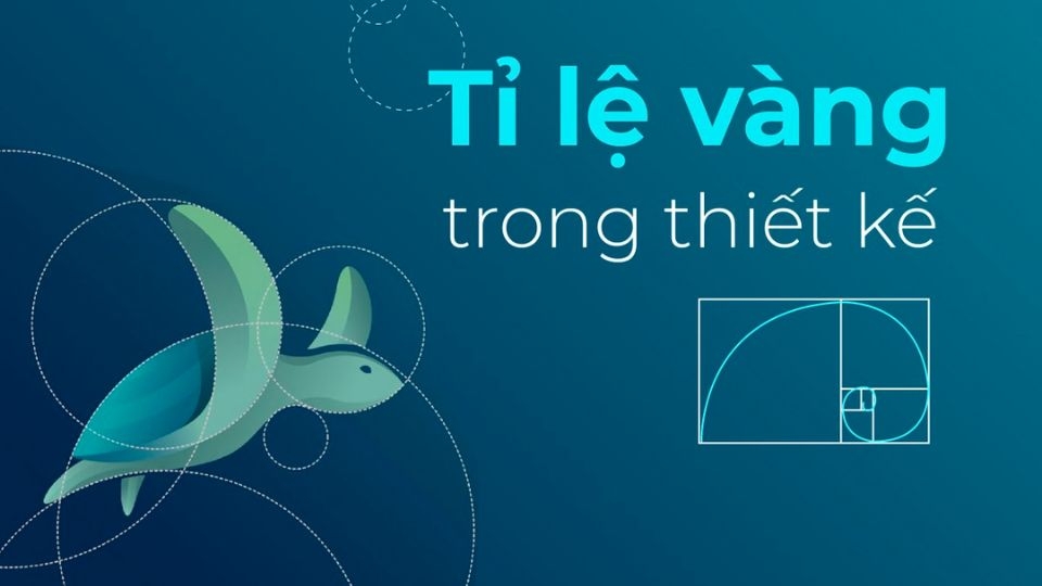 Tỷ lệ vàng của bố cục poster