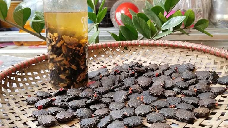 Rượu hạt gấc chữa trị đau nhức rất tốt