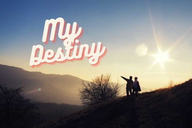 mai đẹt tin ni là gì trên tiktok (hình 1)