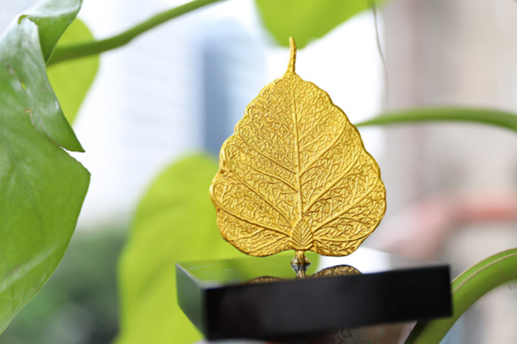 Nên tặng quà gì cho người thân ngày thần tài 2024? Top những món quà ý nghĩa nhất - Hình 2