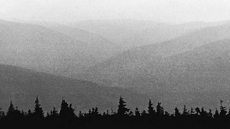Noise là gì