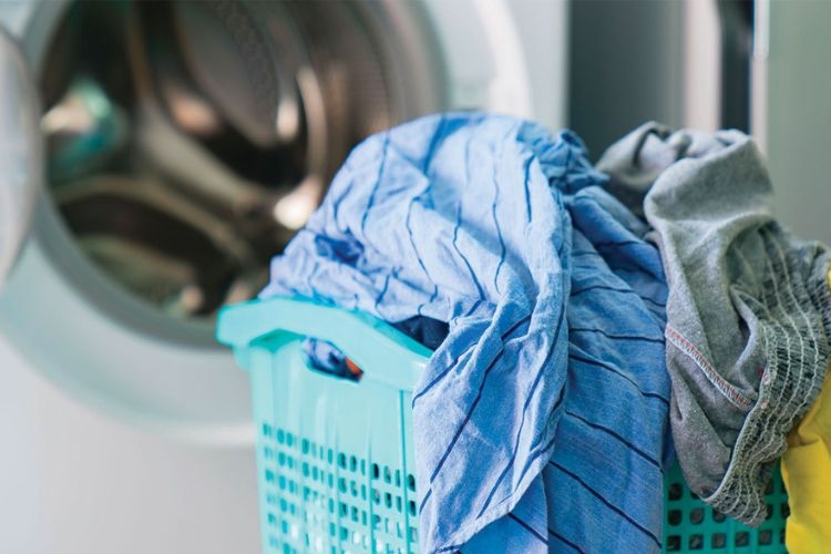 Công nghệ vắt khô