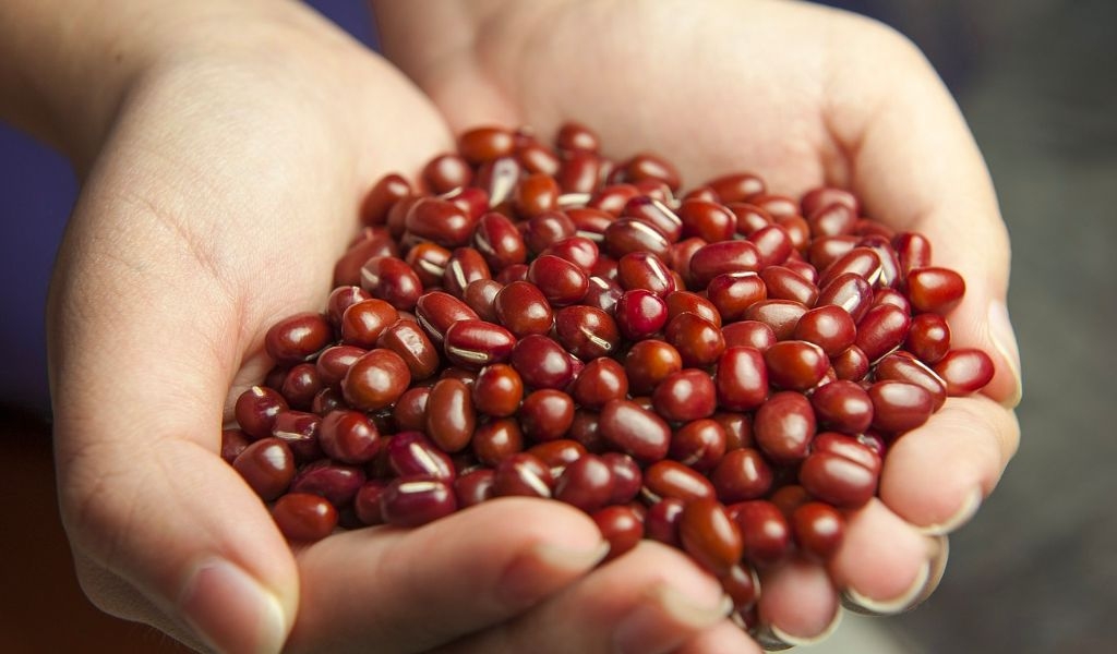Cách làm bột đậu đỏ nguyên chất, bảo quản lâu để làm đẹp, tăng cường sức khoẻ 3