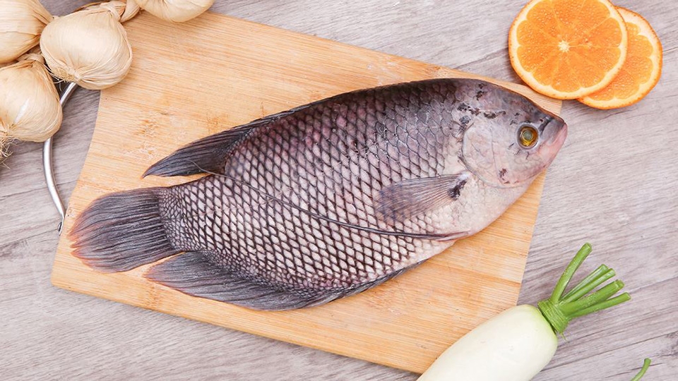 Cá tai tượng tươi