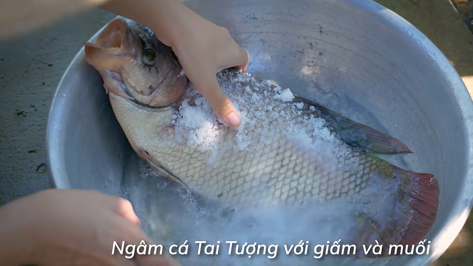 Ngâm cá với giấm và muối