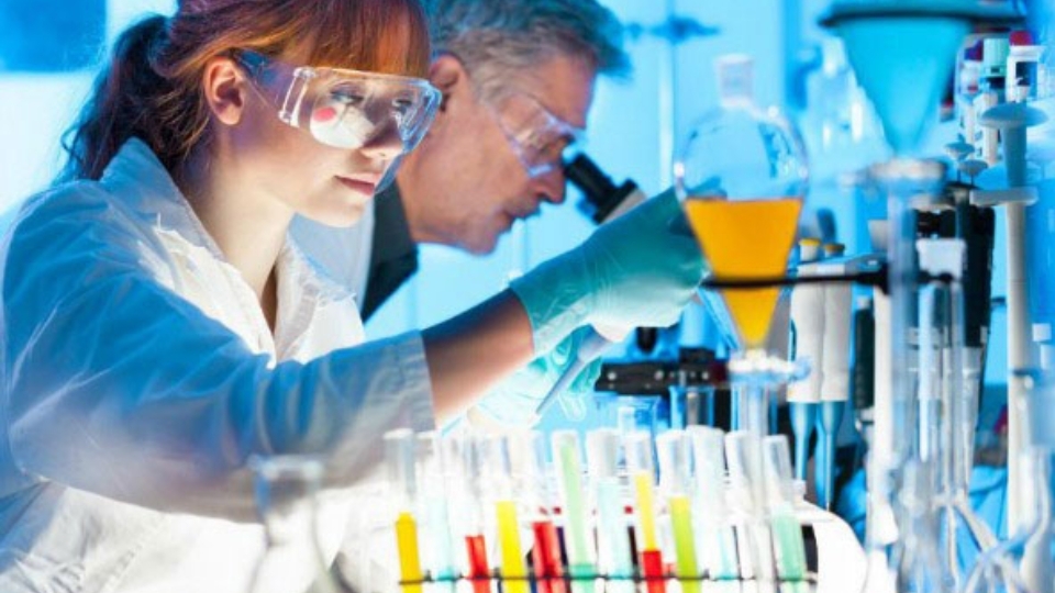 Nhóm ngành về lĩnh vực Khoa học sự sống