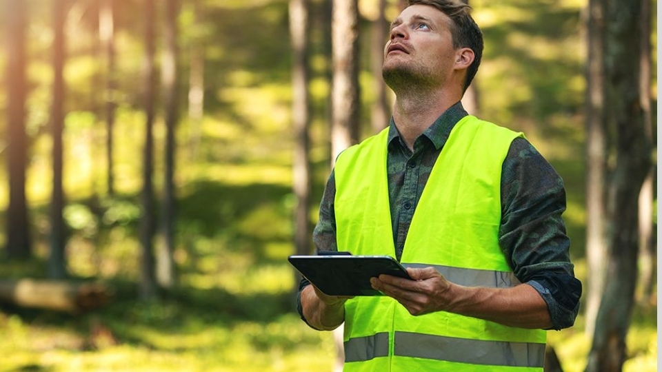 Nhóm ngành Nhóm ngành Nông, Lâm Nghiệp & Thủy Sản