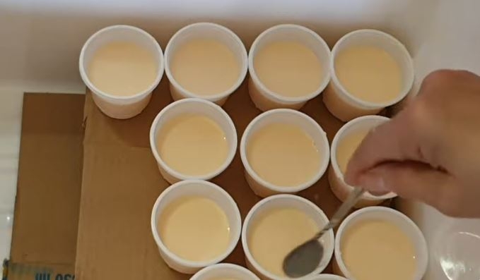 cách làm sữa chua phô mai - Ảnh 12