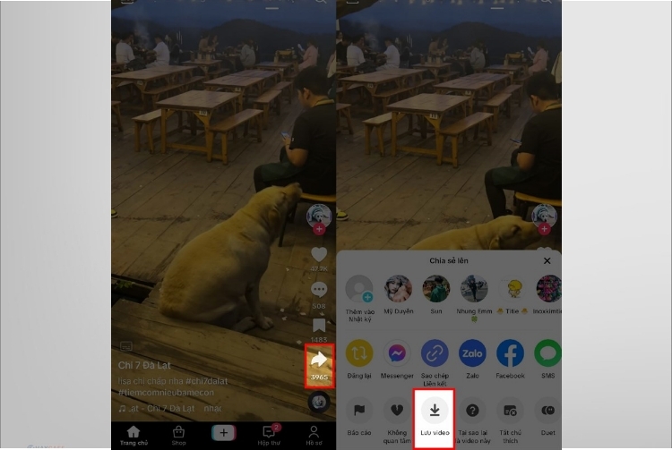 Cách lấy nhạc Tiktok làm nhạc chuông báo thức đơn giản