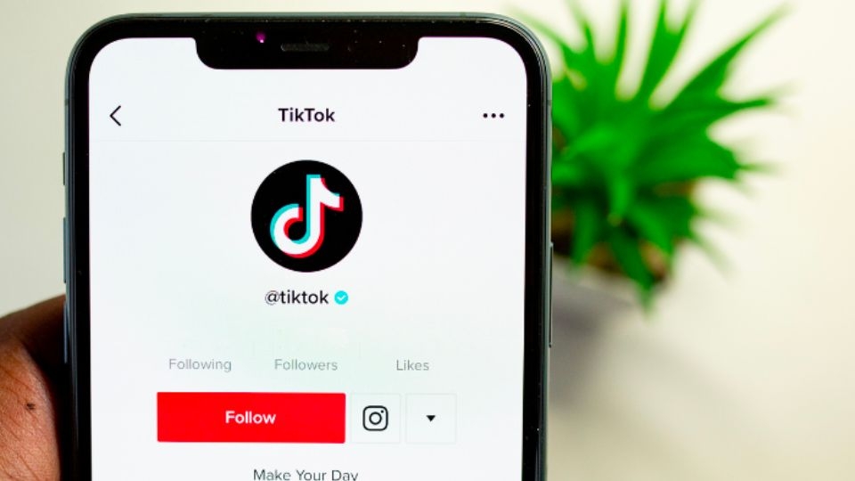 Tiểu sử TikTok tiếng Anh