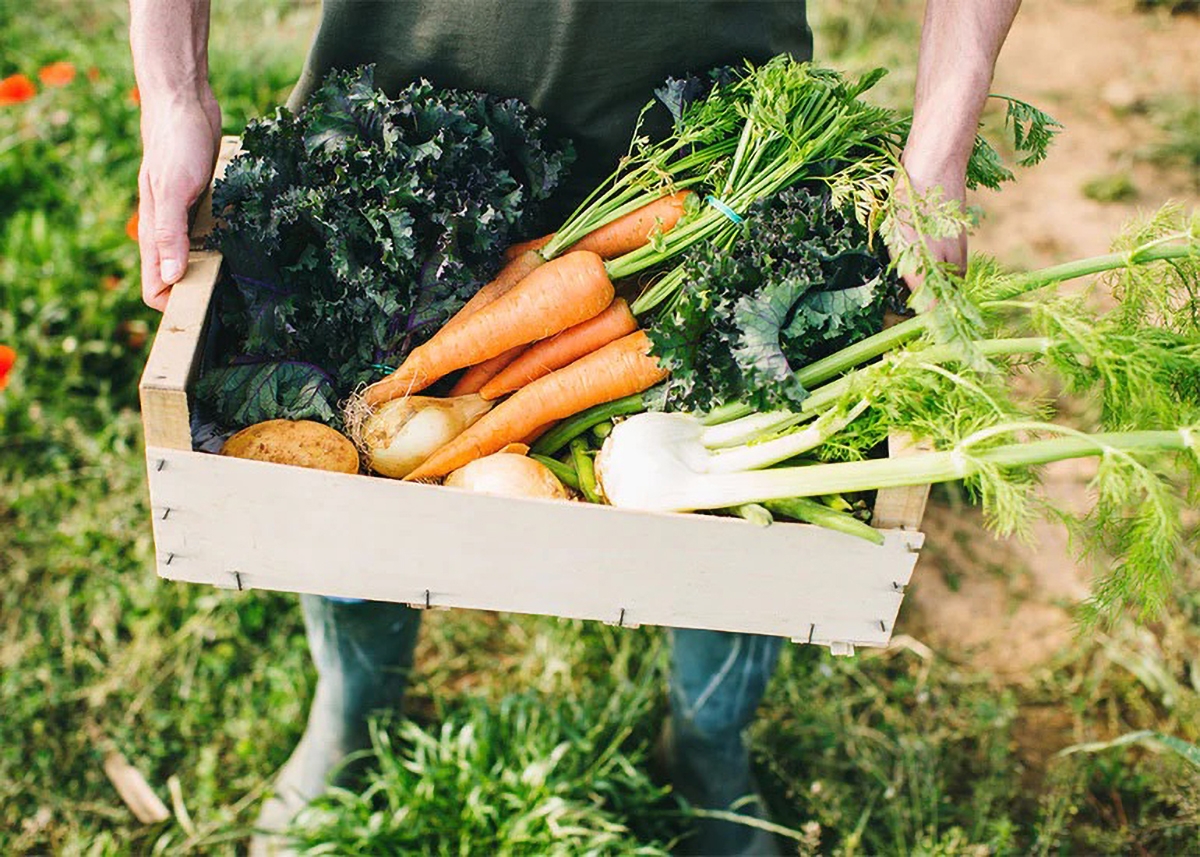 thực phẩm hữu cơ - hình 7