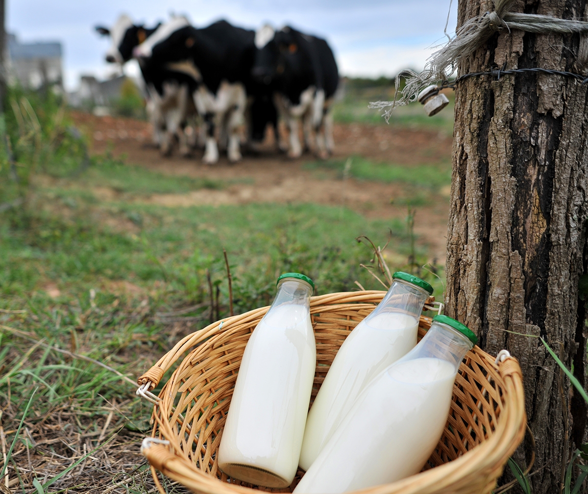 thực phẩm hữu cơ - hình 5