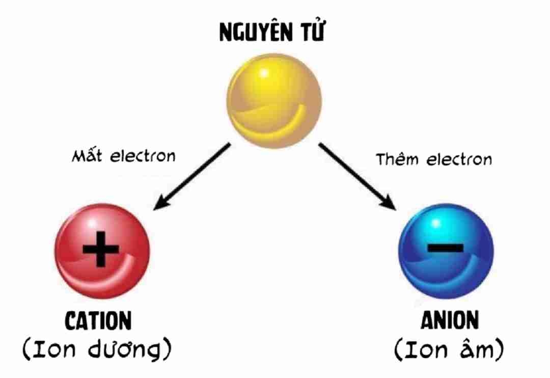 Các ion âm và dương sẽ hút nhau