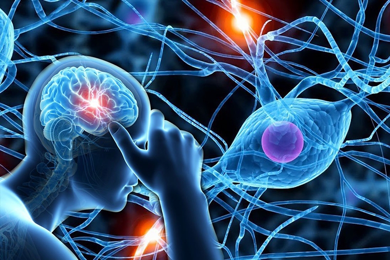 Ion âm giúp tăng cường hoạt động cho hệ thần kinh