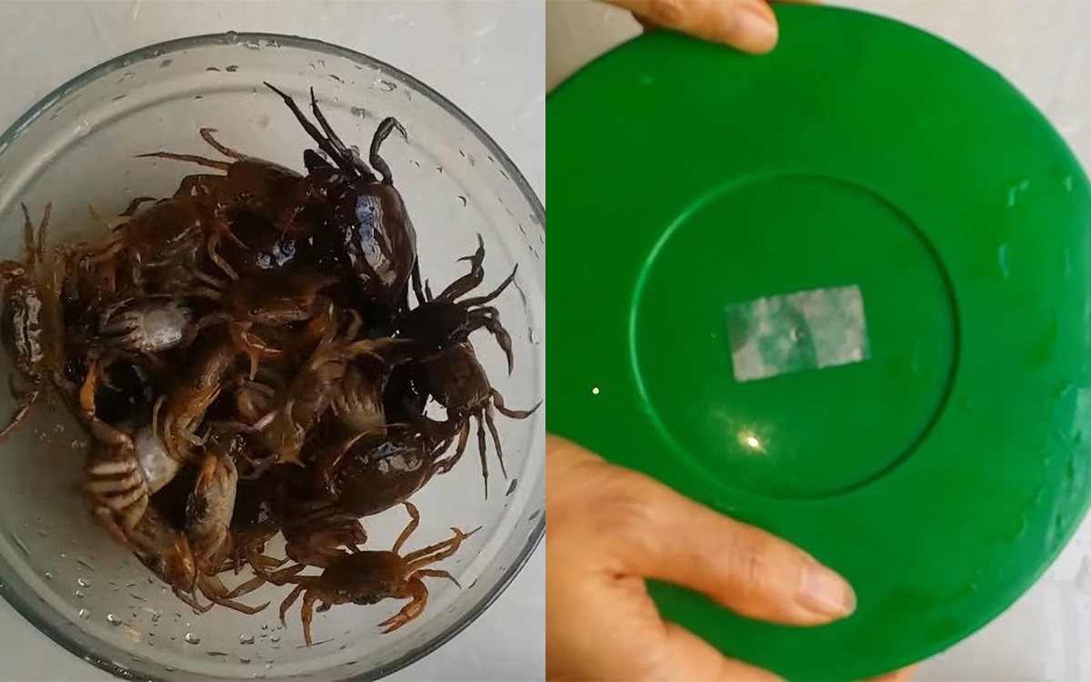 cách làm cua đồng - hình 3