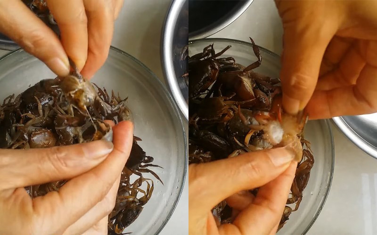 cách làm cua đồng - hình 4