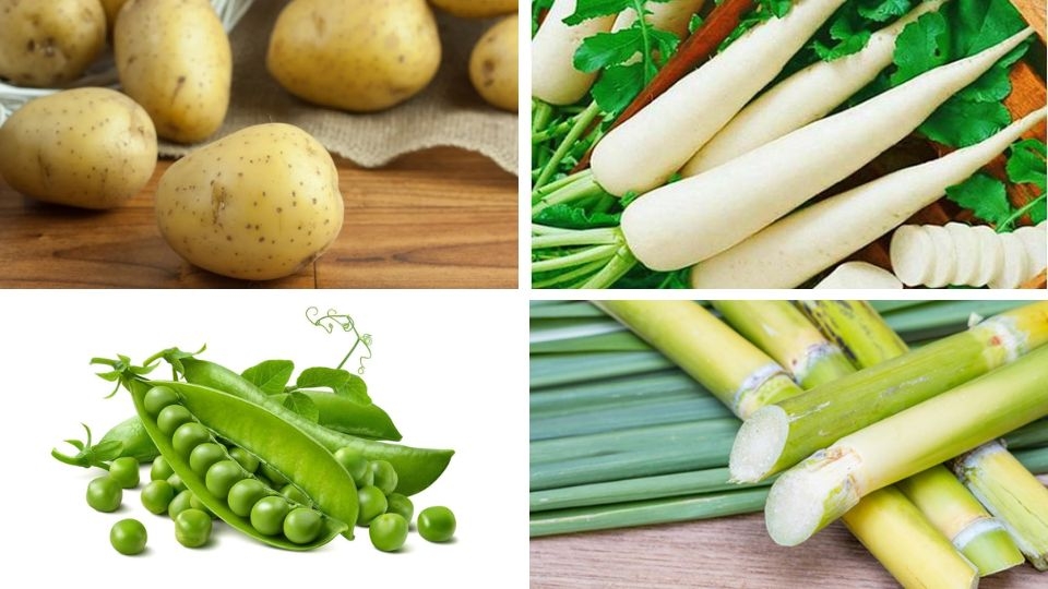 Nguyên liệu cần chuẩn bị 4