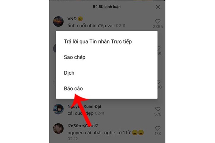 xác minh 18 tuổi trên TikTok (hình 9)