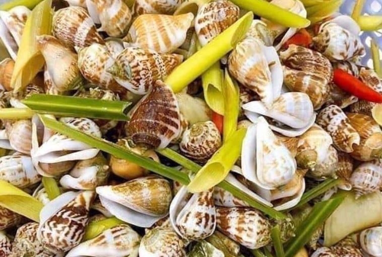 ốc nhảy hấp sả 7