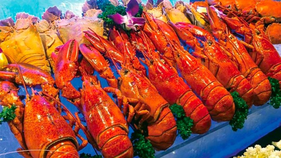 Buffet tôm hùm