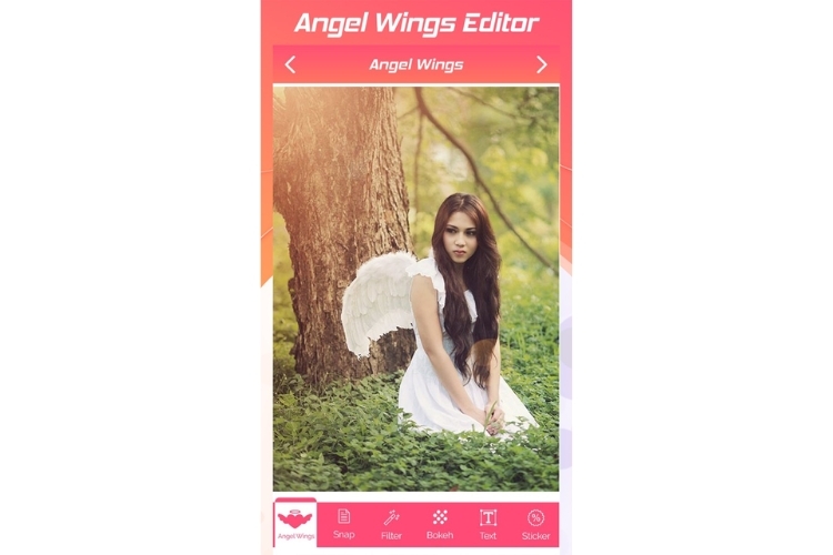 Ứng dụng Angel Wings Editor