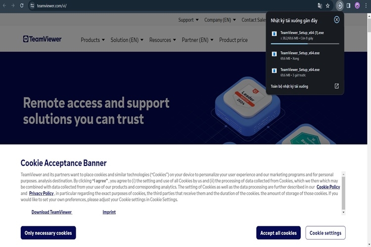 Chờ đợi quá trình tải TeamViewer xuống