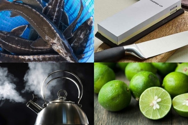 Nguyên liệu và dụng cụ sơ chế cá tầm