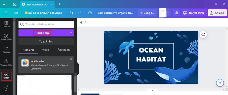 Cách chèn nhạc vào Canva (4)