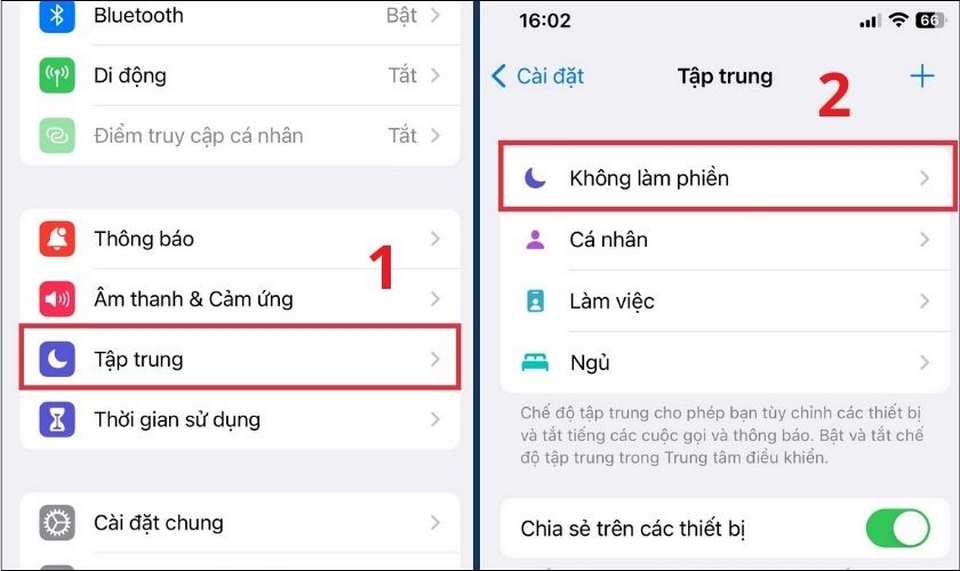 Chọn các hình thức cơ bản