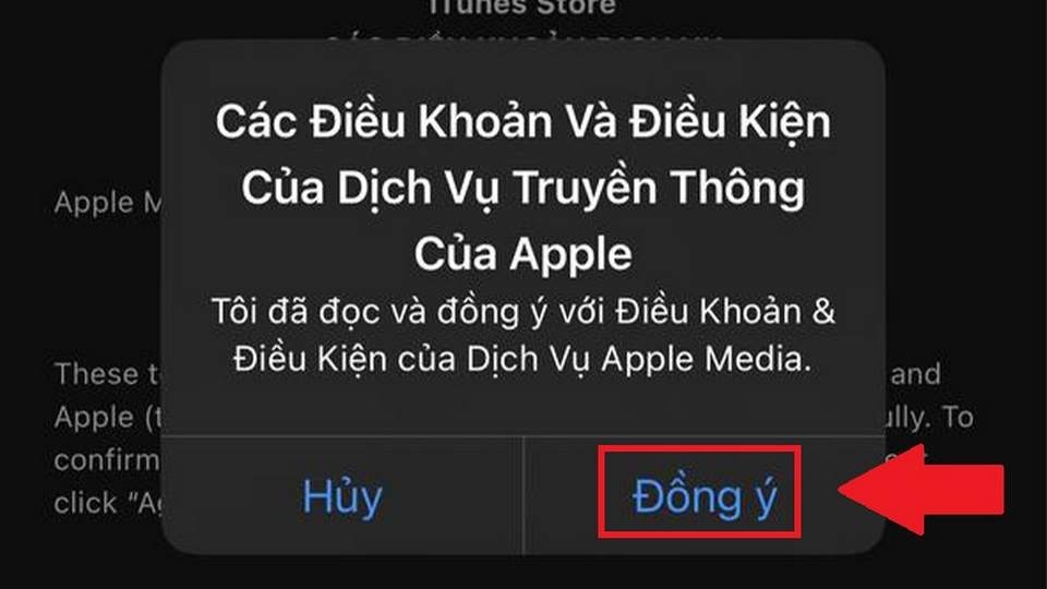 Đồng ý với các điều khoản quan trọng