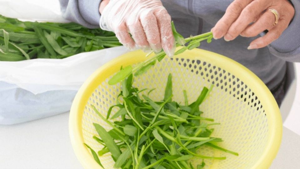 Sơ chế rau muống