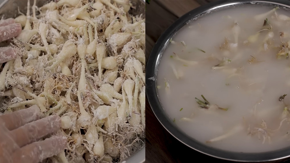 Ngâm củ kiệu với bột năng