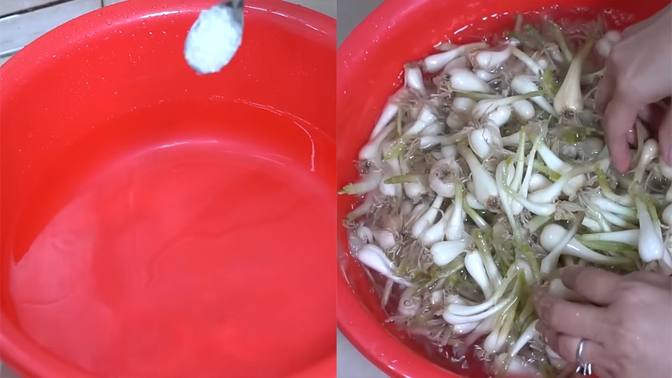 Ngâm củ kiệu với phèn chua