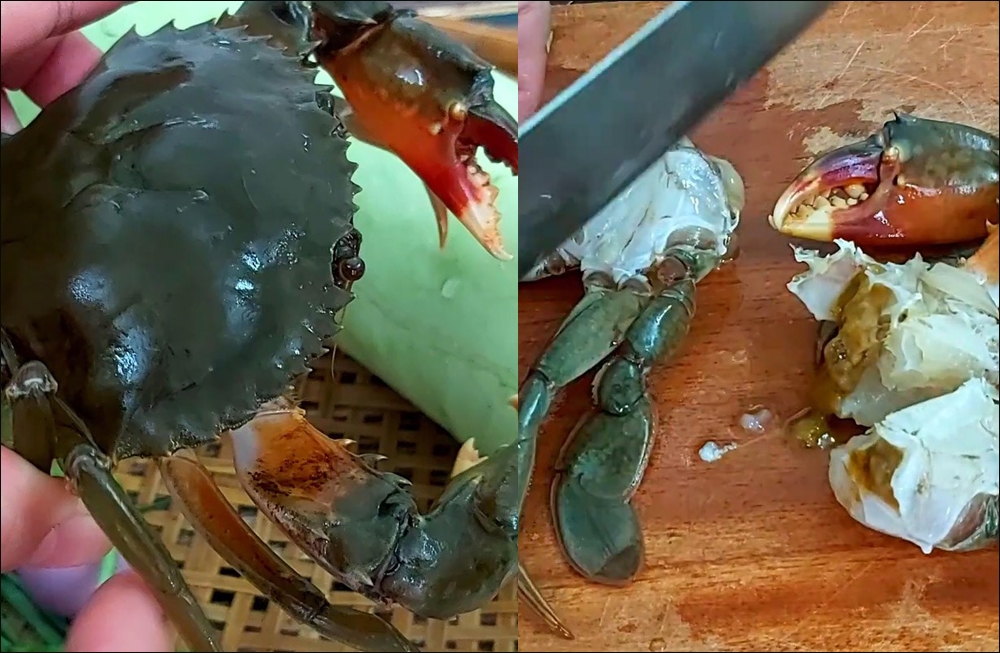 Sơ chế cua biển